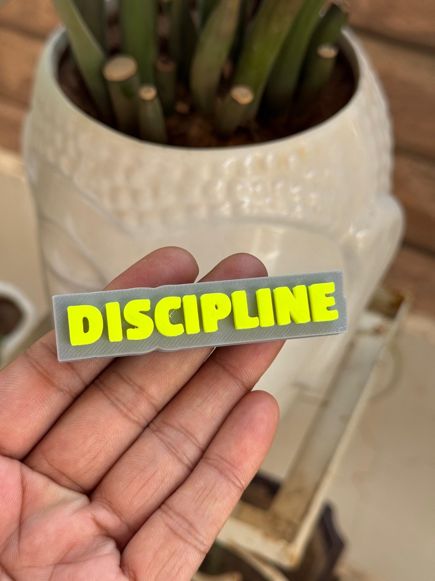 Discipline – Hard Plastic Gym Theme Fridge Magnet