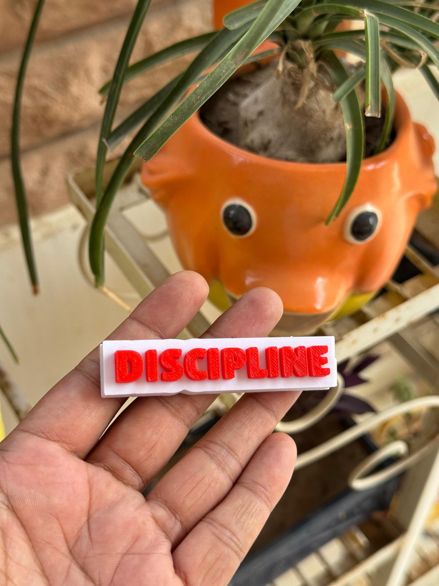 Discipline – Hard Plastic Gym Theme Fridge Magnet