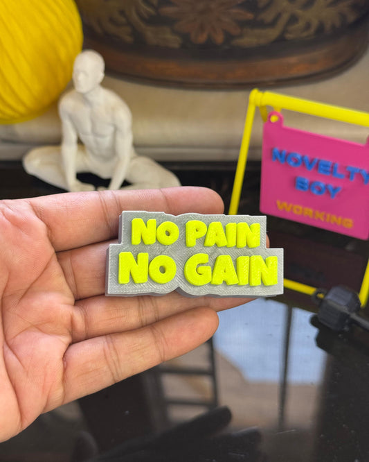 Hand holding a 'No Pain No Gain' patch with a blurred background