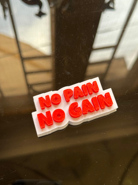 No Pain No Gain – Hard Plastic Gym Theme Fridge Magnet