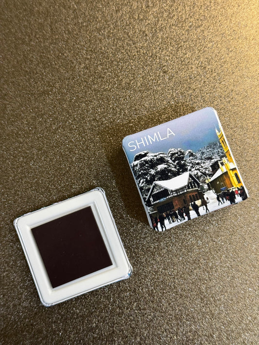 1 Custom Fridge Photo Magnet (Single Magnet)