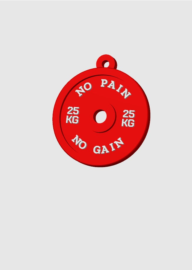 No Pain No Gain