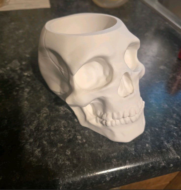 White Skull Pen Holder