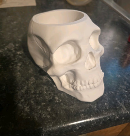 White Skull Pen Holder