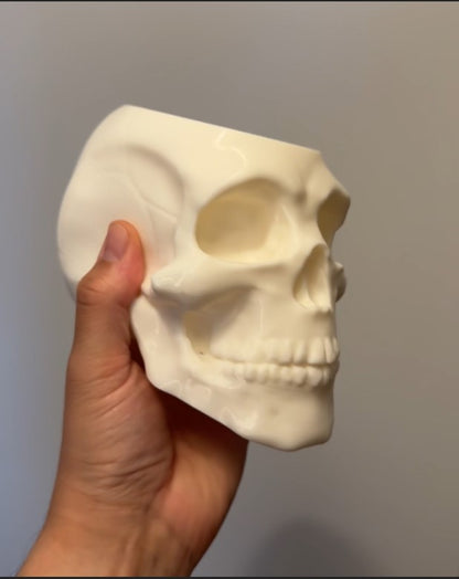 White Skull Pen Holder