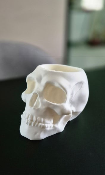 White Skull Pen Holder